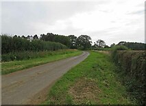 SK8302 : Holygate Road westwards towards Wills Farm by Andrew Tatlow