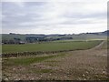 Fields above Langshaw