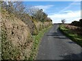 Country road near Eastwood House