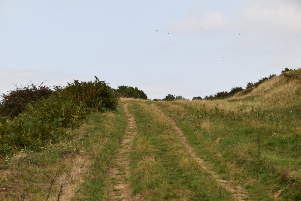 Footpath to Pelsham Farm © N Chadwick :: Geograph Britain and Ireland