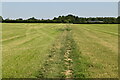 Footpath across field