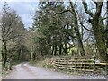 Track through Windleway Wood