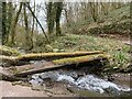 Damaged footbridge