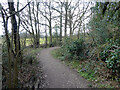 Bridleway 1550 towards Kilnwood Lane