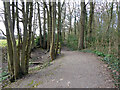 Bridleway 1550 towards Kilnwood Lane