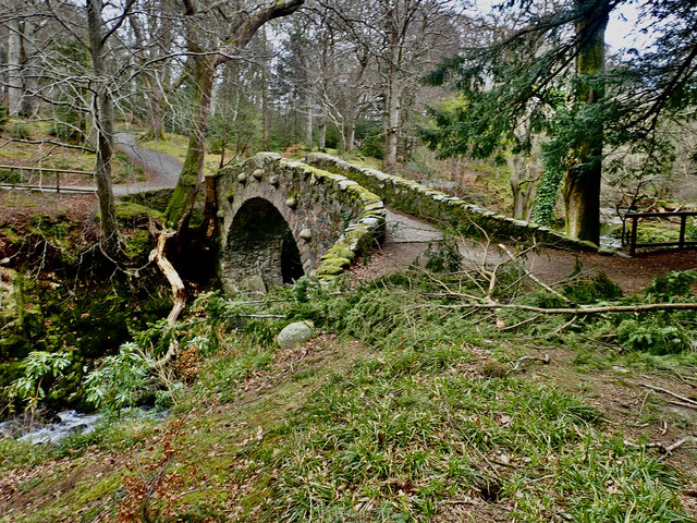 Foley Bridge in Tollymore Park