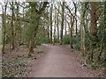 Bridleway 1550 towards Kilnwood Lane