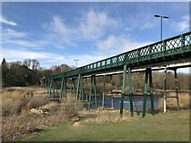NZ0863 : Ovingham Bridge by Anthony Foster