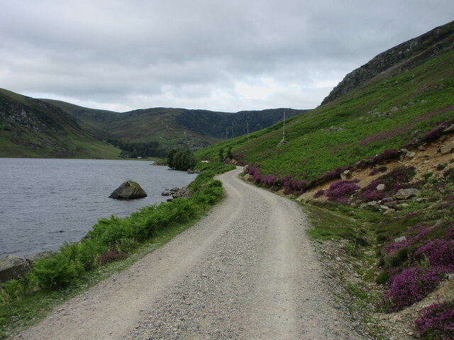 Track along Loch Lee