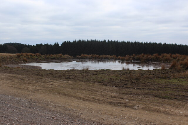 Pond next to track, Mynydd Llwyd Common