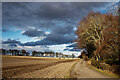 The farm road out of Balnaguie