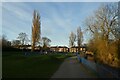 Evening sunshine in Hull Road Park