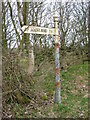 NZ1128 : Direction Sign â€“ Signpost on Crane Row Lane in Evenwood and Barony parish by Mike Rayner