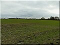 Waterlogged field off Woodhead Lane, Gildersome