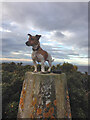 Strathlene Golf Course Trig Point and View to Coast