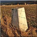 Blackfolds Trig Point Flush Bracket S7217