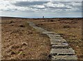 SK0691 : Runner on a paved section of The Pennine Way by Neil Theasby