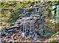 Waterfall, Buckden Wood