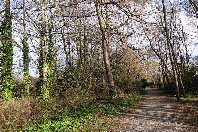 Burn of Fochabers Woods © Anne Burgess :: Geograph Britain and Ireland