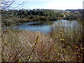 Lake in Warren Gorge