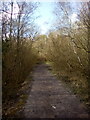 Path in Grays Gorge