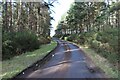 Road through Lagnagreishach Woods