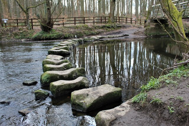The 'Wortley Leppings' (stepping stones)