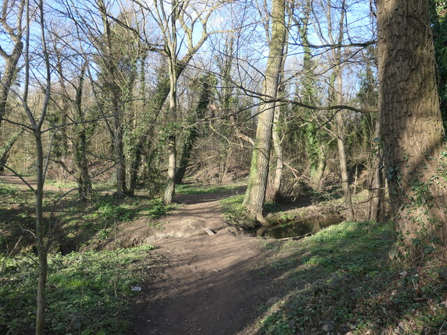 Riverside path, Newland