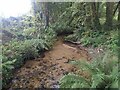 An unnamed stream near Bojewan