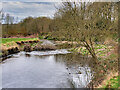 River Roch downstream at Gigg