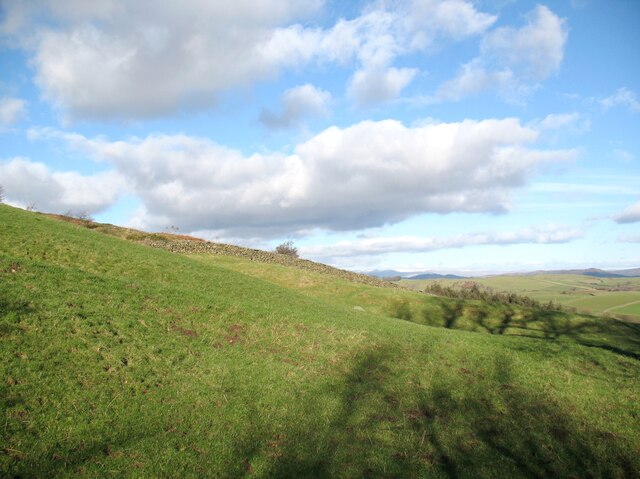 Field near Bortree Stile