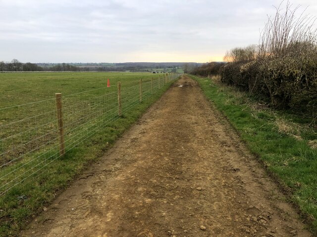 Track to the gallops