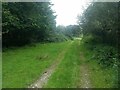 A green lane near to Bellows Farm