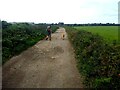 Quarry lane at Sheffield