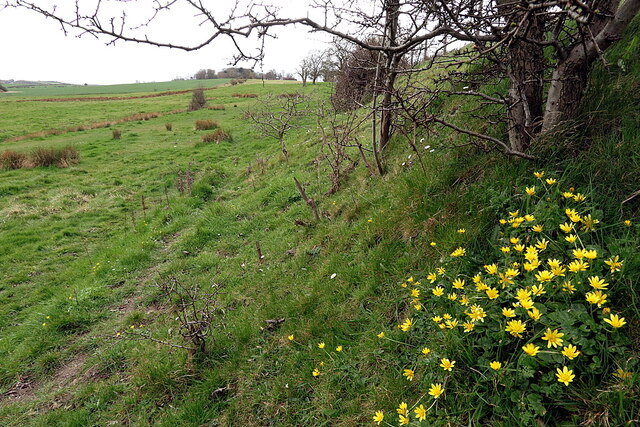 Hadrian's Wall Path south of Rudchester