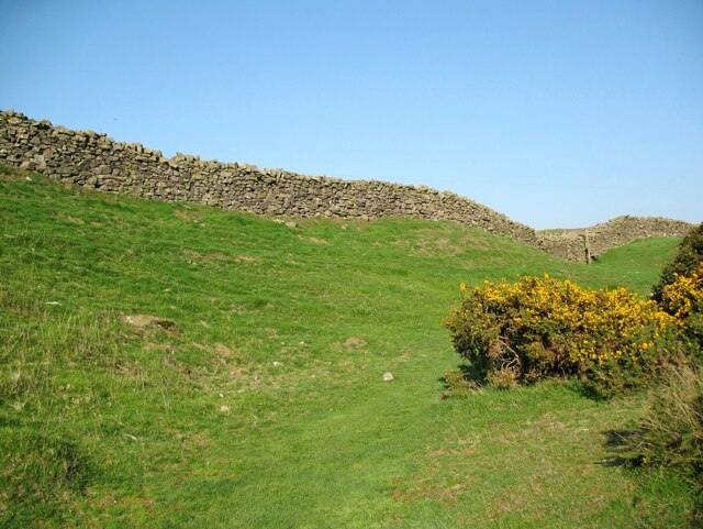 The Cumbria Way near Higher Lath Farm © Adrian Taylor cc-by-sa/2.0 ...