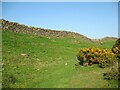 SD2780 : The Cumbria Way near Higher Lath Farm by Adrian Taylor