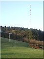 Pen Hill: trees and transmitting