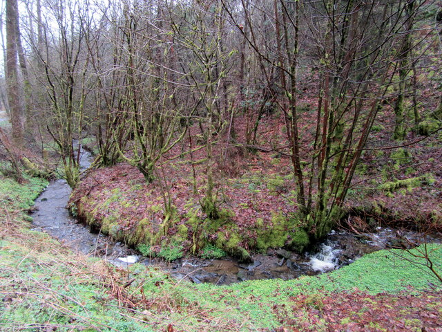 Meander in Morlas Brook
