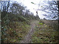 Muddy footpath to Radmanthwaite Road, Radmanthwaite