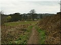 Footpath behind houses on Acres Hall Avenue, Pudsey