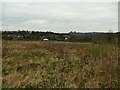 Unused land behind houses on Acres Hall Avenue, Pudsey