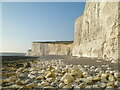TV5396 : The coast at Gap Bottom, Seven Sisters, East Sussex by Andrew Diack