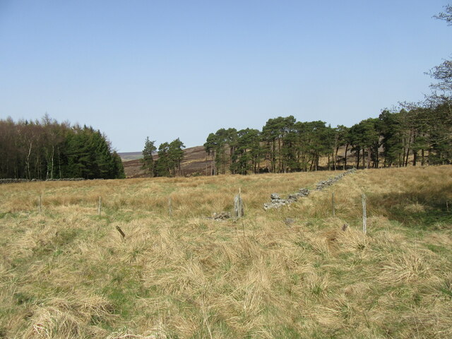 Near Wardle Green © T Eyre :: Geograph Britain and Ireland