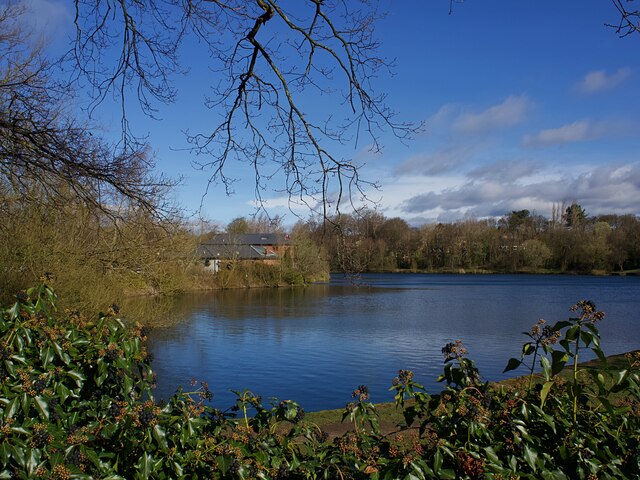 Smithy Pond, Wingerworth