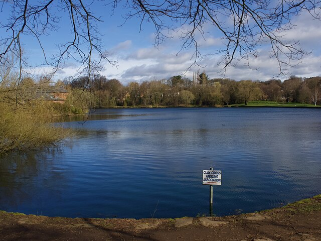 Smithy Pond, Wingerworth