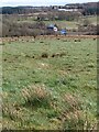 NS8062 : Rough pasture Bothwellshields by Jim Smillie