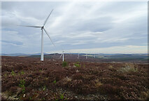 NJ3546 : Hill of Towie Wind Farm by Anne Burgess