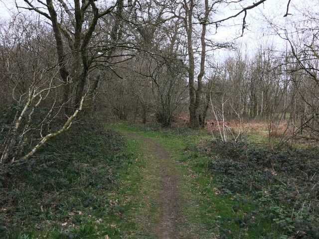 Footpath through Warren Bottom Copse © Mr Ignavy :: Geograph Britain ...