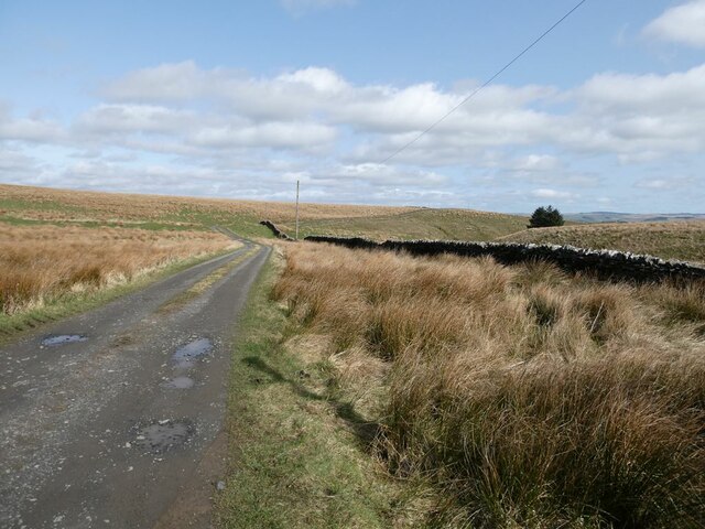 Farm road to Gofton Fieldhead Farm